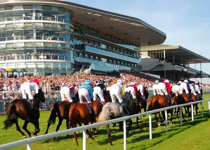 Gæstehus Edwards Cosy